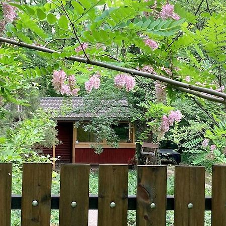 Cinke Cottage, Nest In Nature Verőcemaros Eksteriør bilde