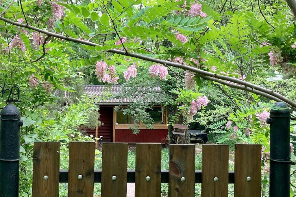 Cinke Cottage, Nest In Nature Verőcemaros Eksteriør bilde