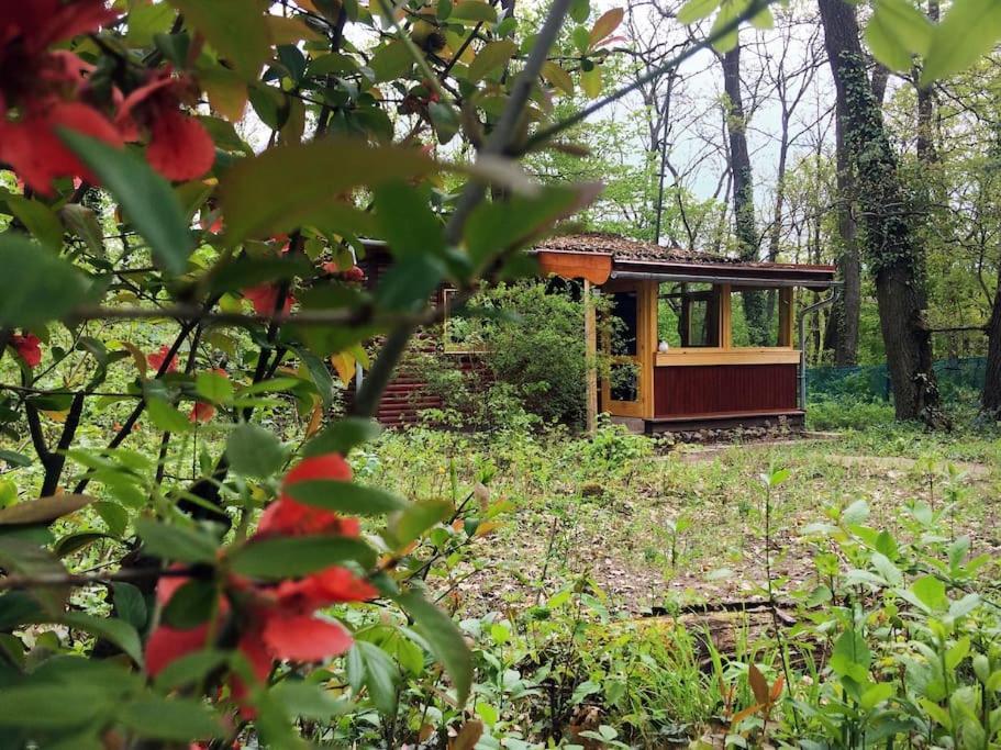 Cinke Cottage, Nest In Nature Verőcemaros Eksteriør bilde