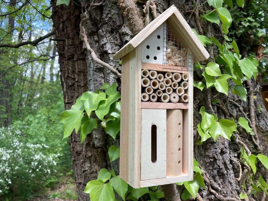Cinke Cottage, Nest In Nature Verőcemaros Eksteriør bilde